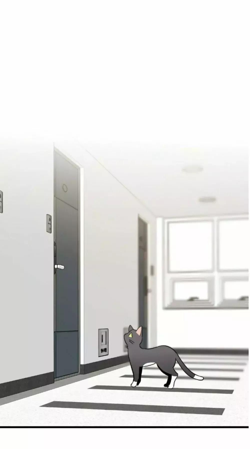 Mi único gato Capítulo 42 en Línea - página 8