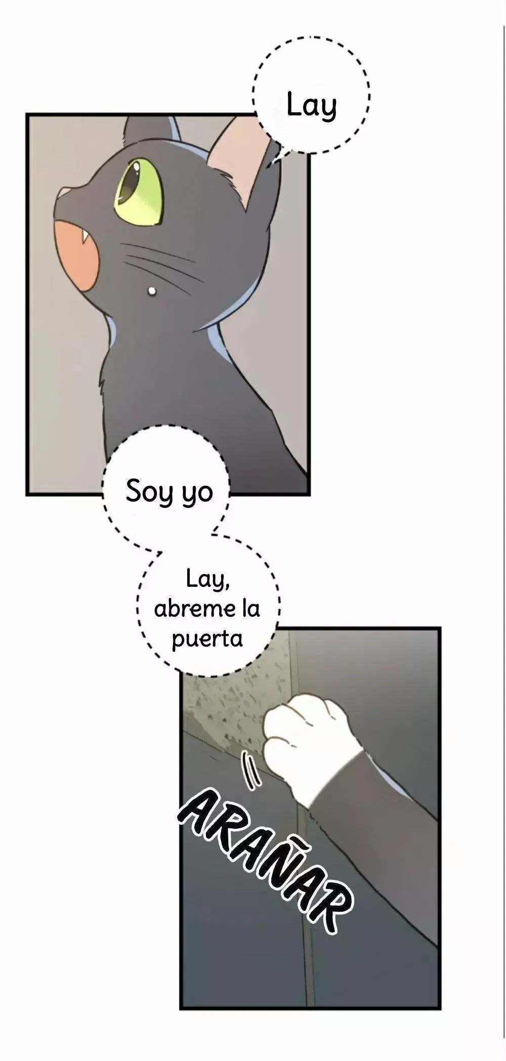Mi único gato Capítulo 42 en Línea - página 9