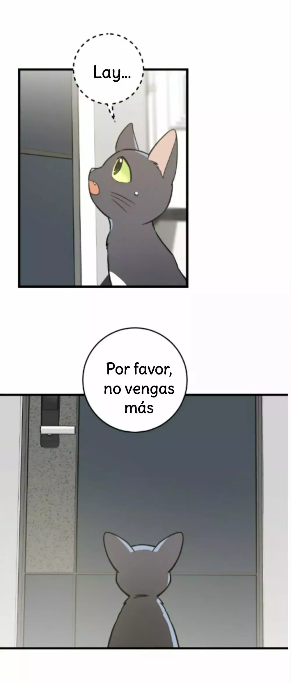 Mi único gato Capítulo 42 en Línea - página 11