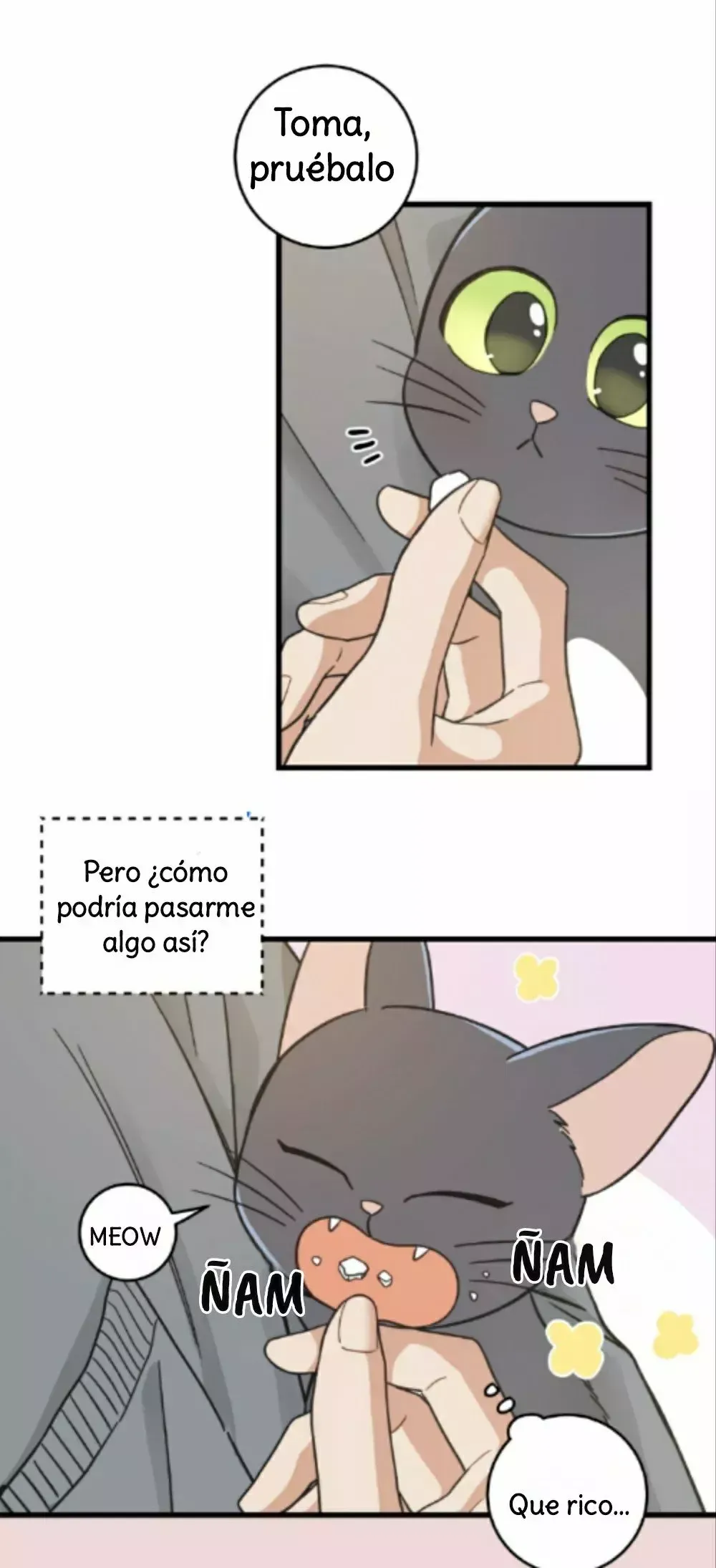 Mi único gato Capítulo 42 en Línea - página 18