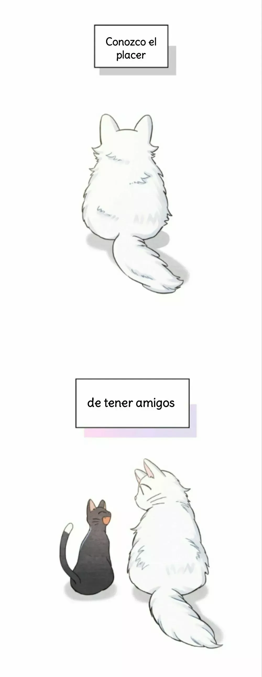 Mi único gato Capítulo 45 en Línea - página 34