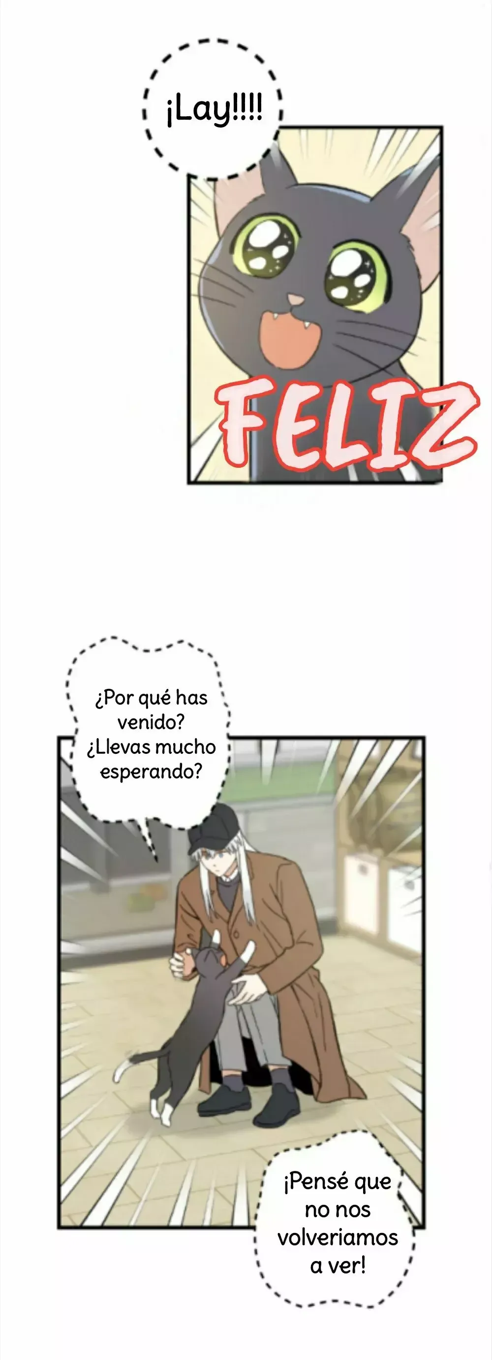 Mi único gato Capítulo 46 en Línea - página 34