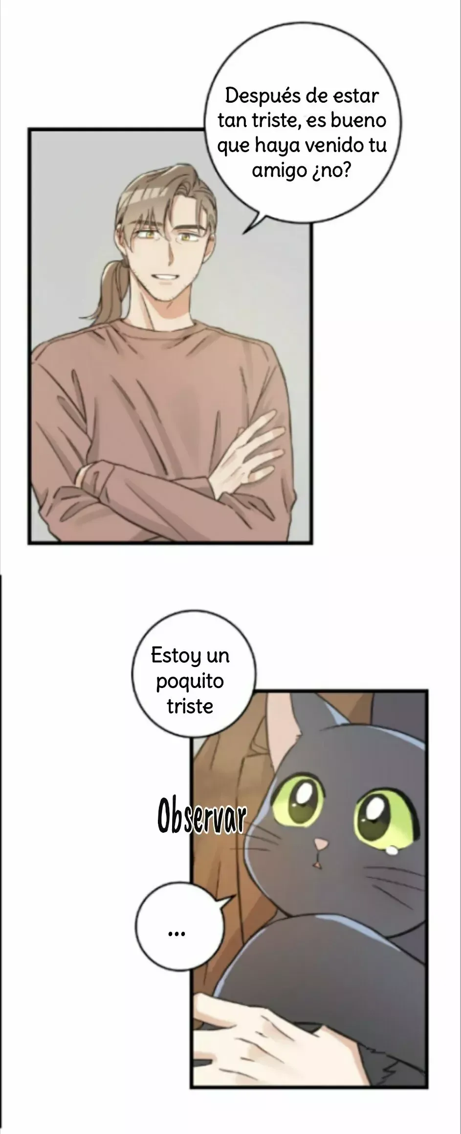 Mi único gato Capítulo 46 en Línea - página 36