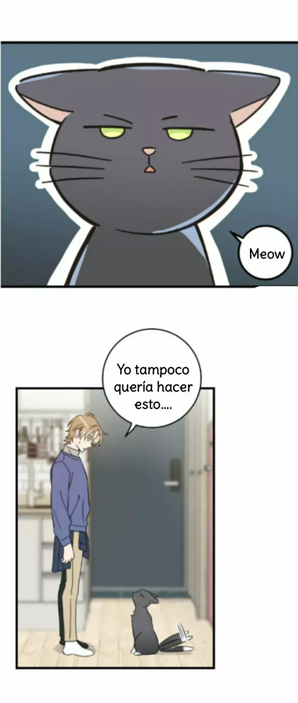 Mi único gato Capítulo 47 en Línea - página 24