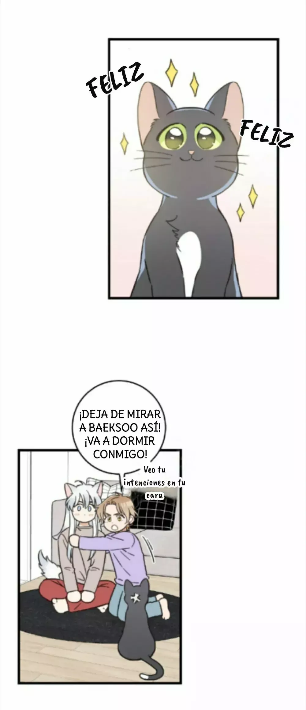 Mi único gato Capítulo 48 en Línea - página 12