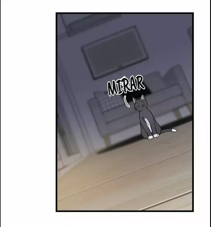 Mi único gato Capítulo 48 en Línea - página 14