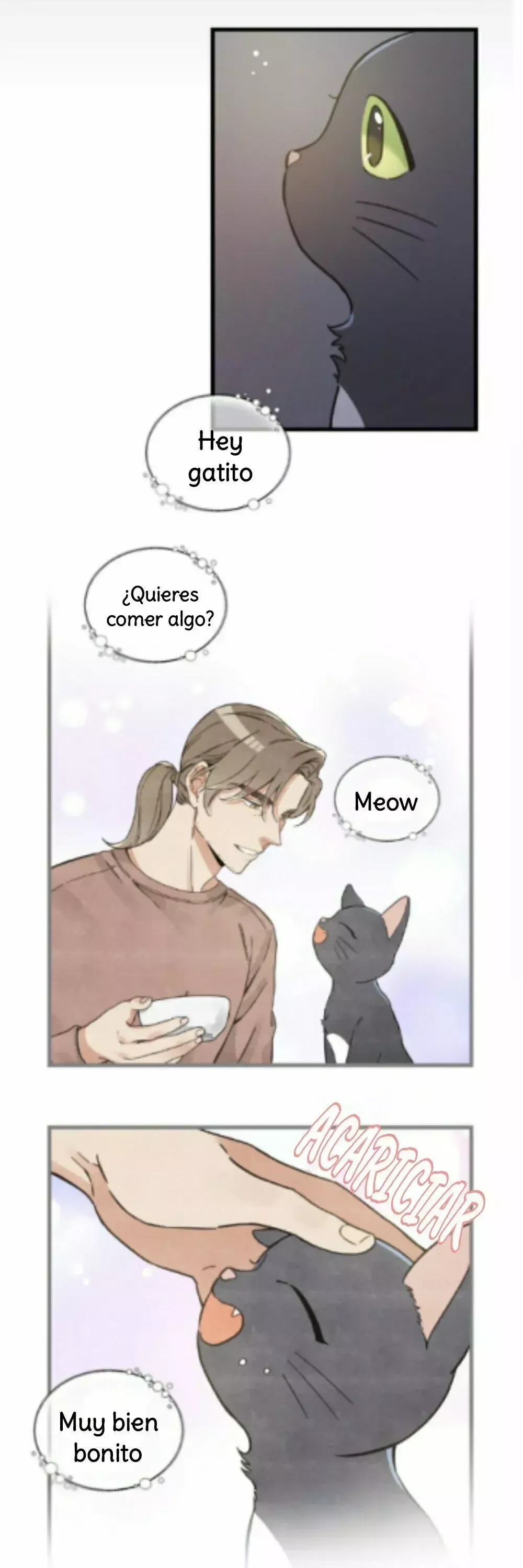 Mi único gato Capítulo 48 en Línea - página 16