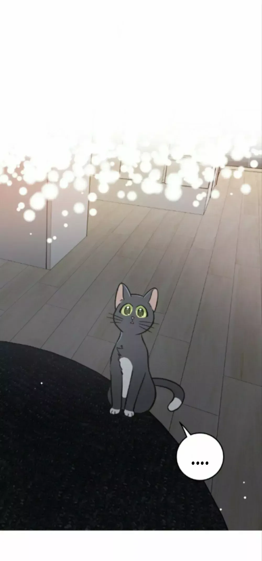 Mi único gato Capítulo 48 en Línea - página 17