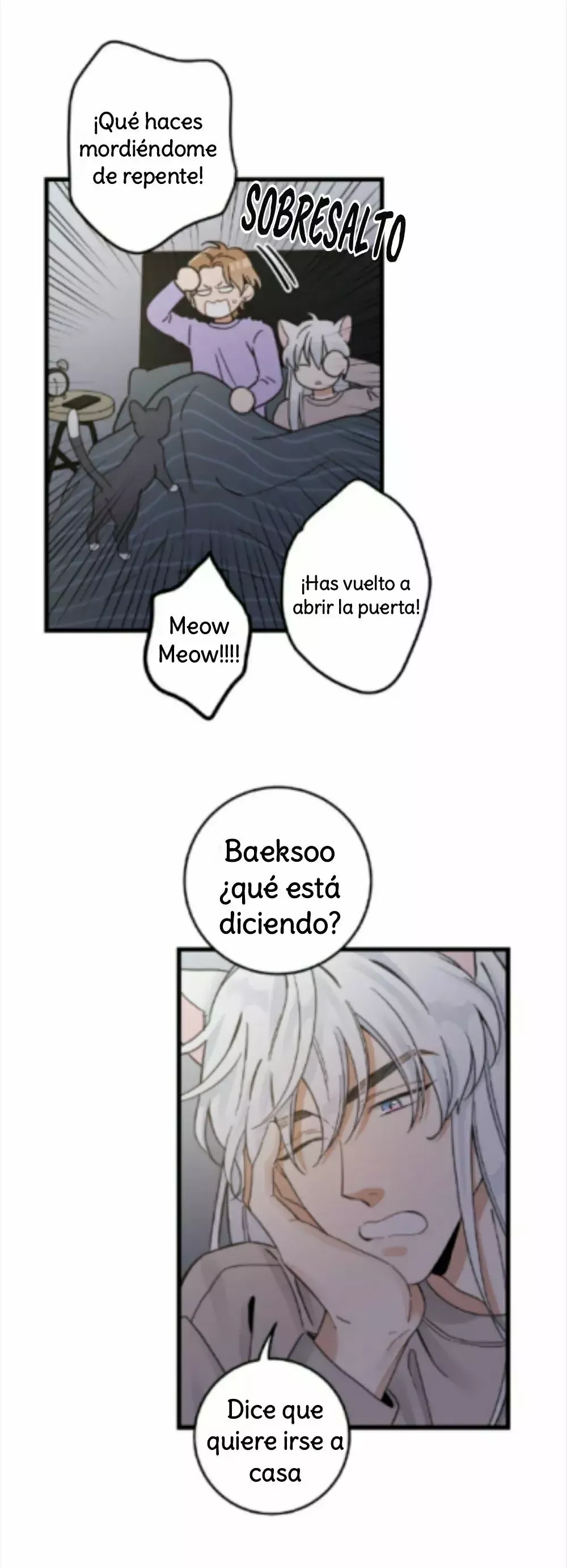 Mi único gato Capítulo 48 en Línea - página 19