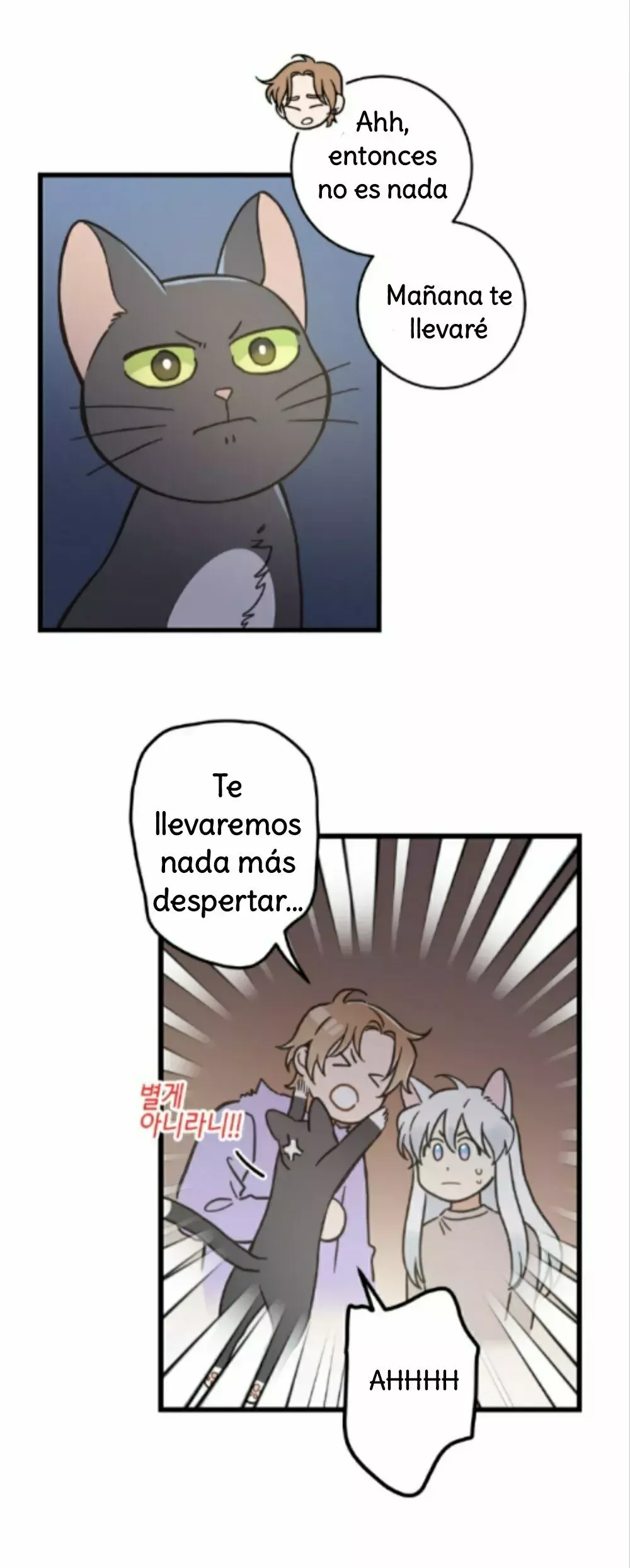 Mi único gato Capítulo 48 en Línea - página 20