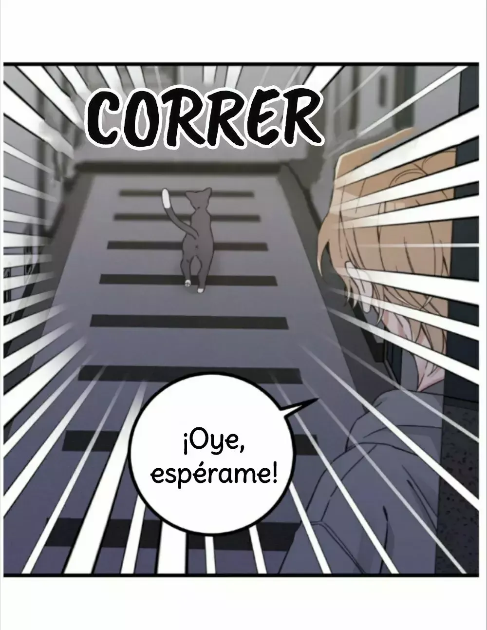Mi único gato Capítulo 48 en Línea - página 26
