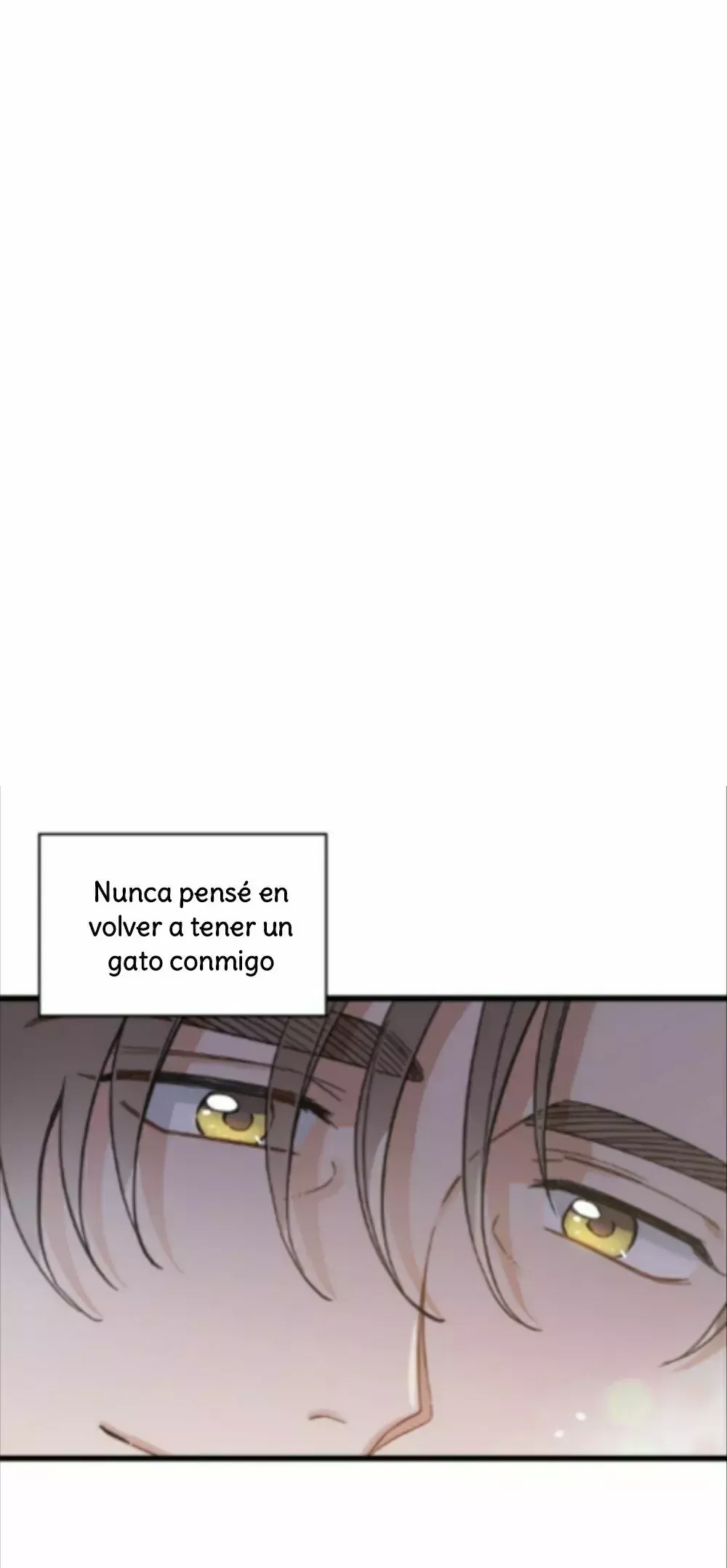 Mi único gato Capítulo 48 en Línea - página 40