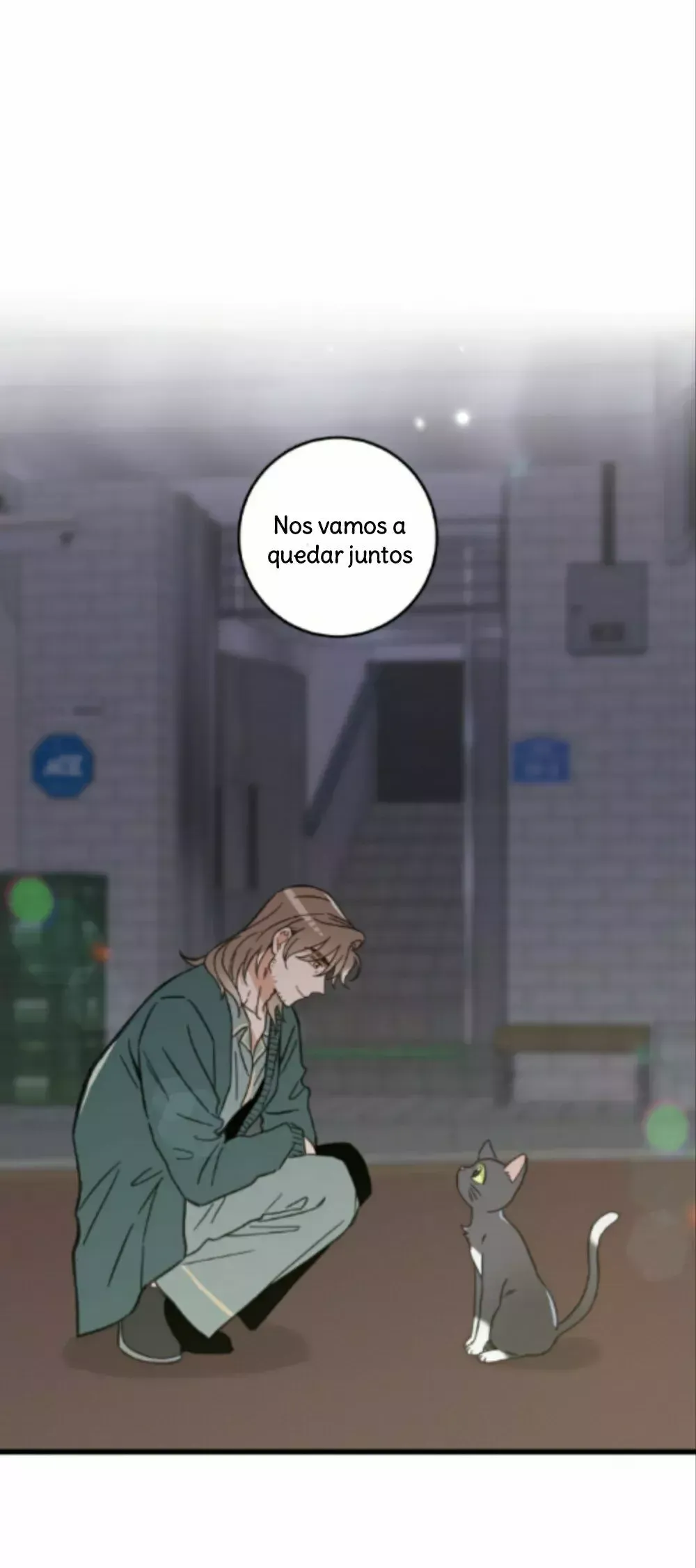 Mi único gato Capítulo 48 en Línea - página 41