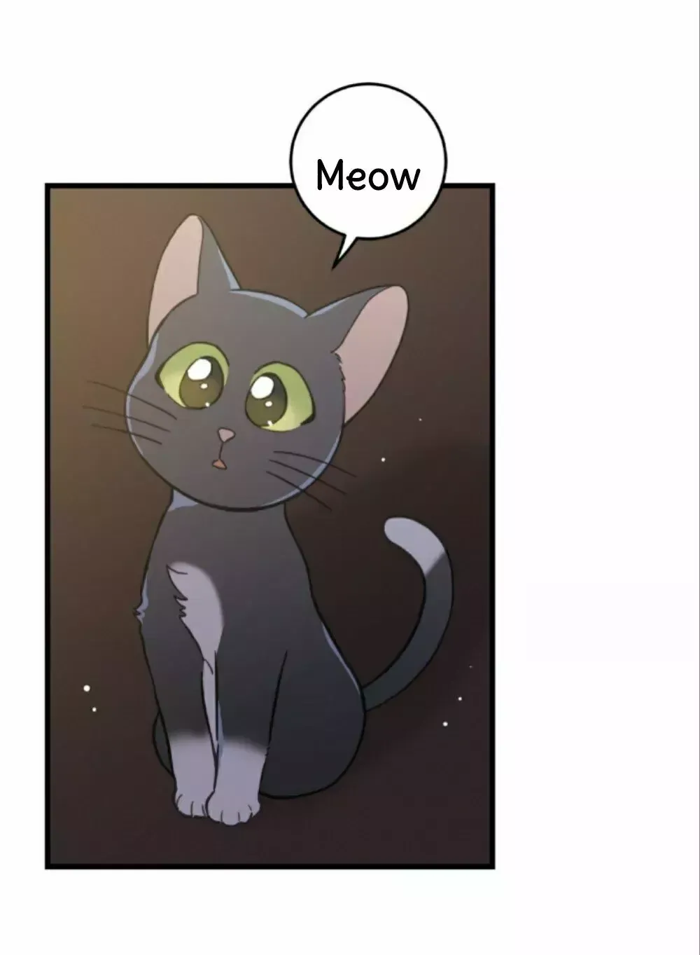 Mi único gato Capítulo 48 en Línea - página 47