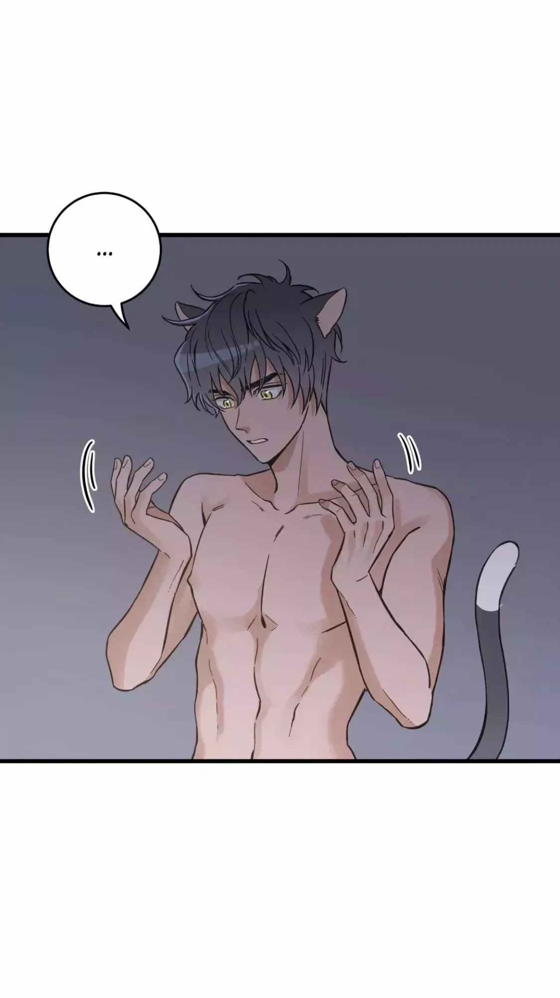 Mi único gato Capítulo 49 en Línea - página 11