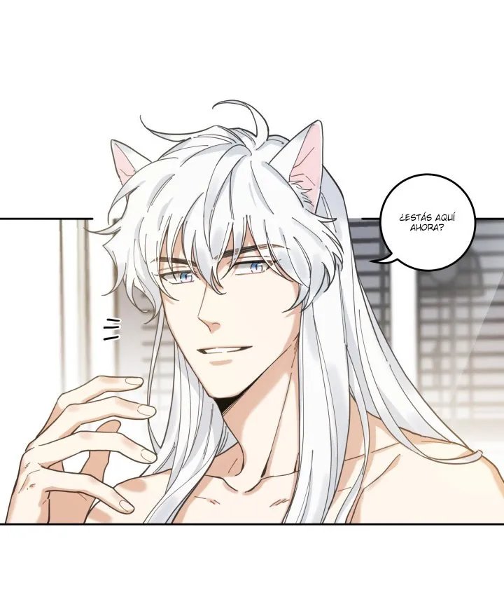 Mi único gato Capítulo 5 en Línea - página 25