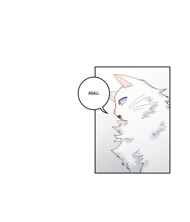 Mi único gato Capítulo 5 en Línea - página 82