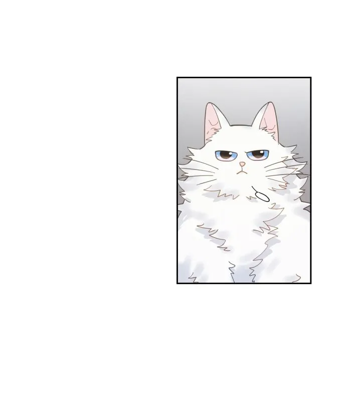 Mi único gato Capítulo 5 en Línea - página 85