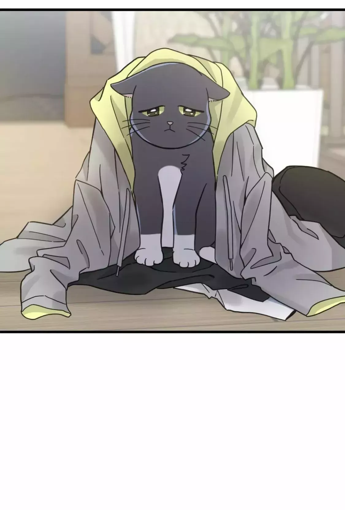Mi único gato Capítulo 50 en Línea - página 45