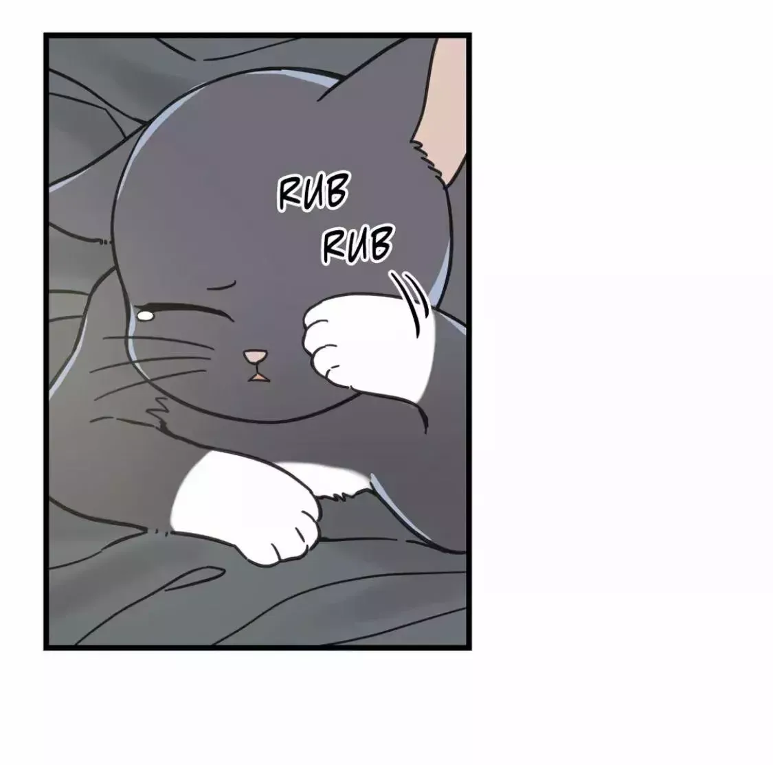 Mi único gato Capítulo 50 en Línea - página 59