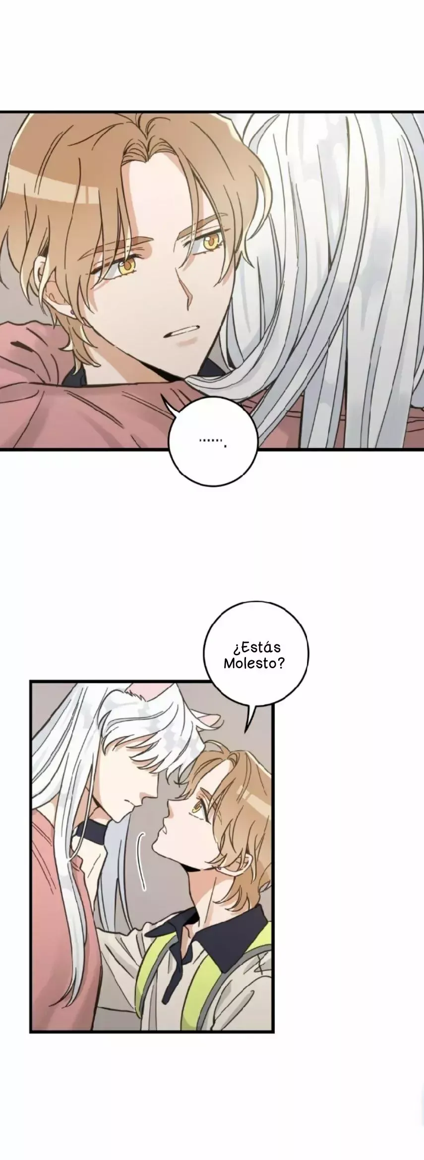 Mi único gato Capítulo 51 en Línea - página 17