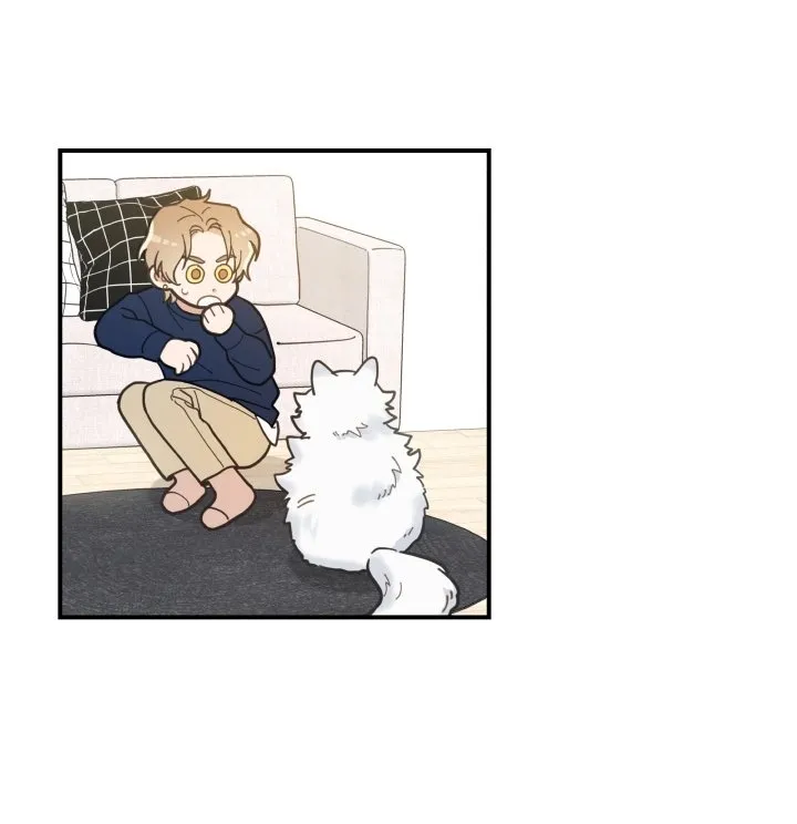 Mi único gato Capítulo 6 en Línea - página 36