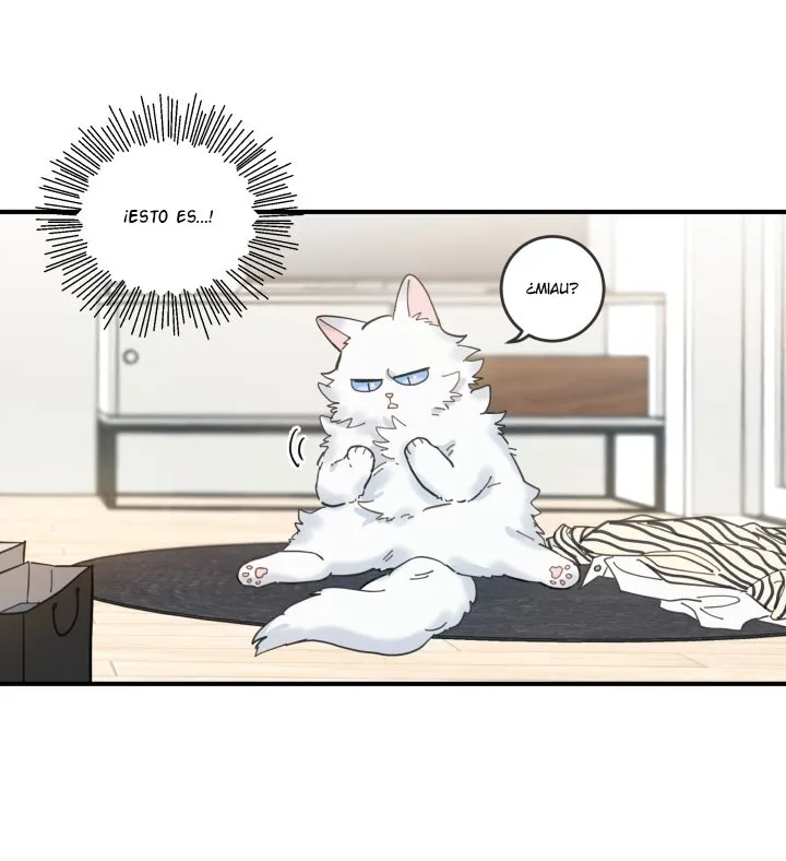 Mi único gato Capítulo 6 en Línea - página 38