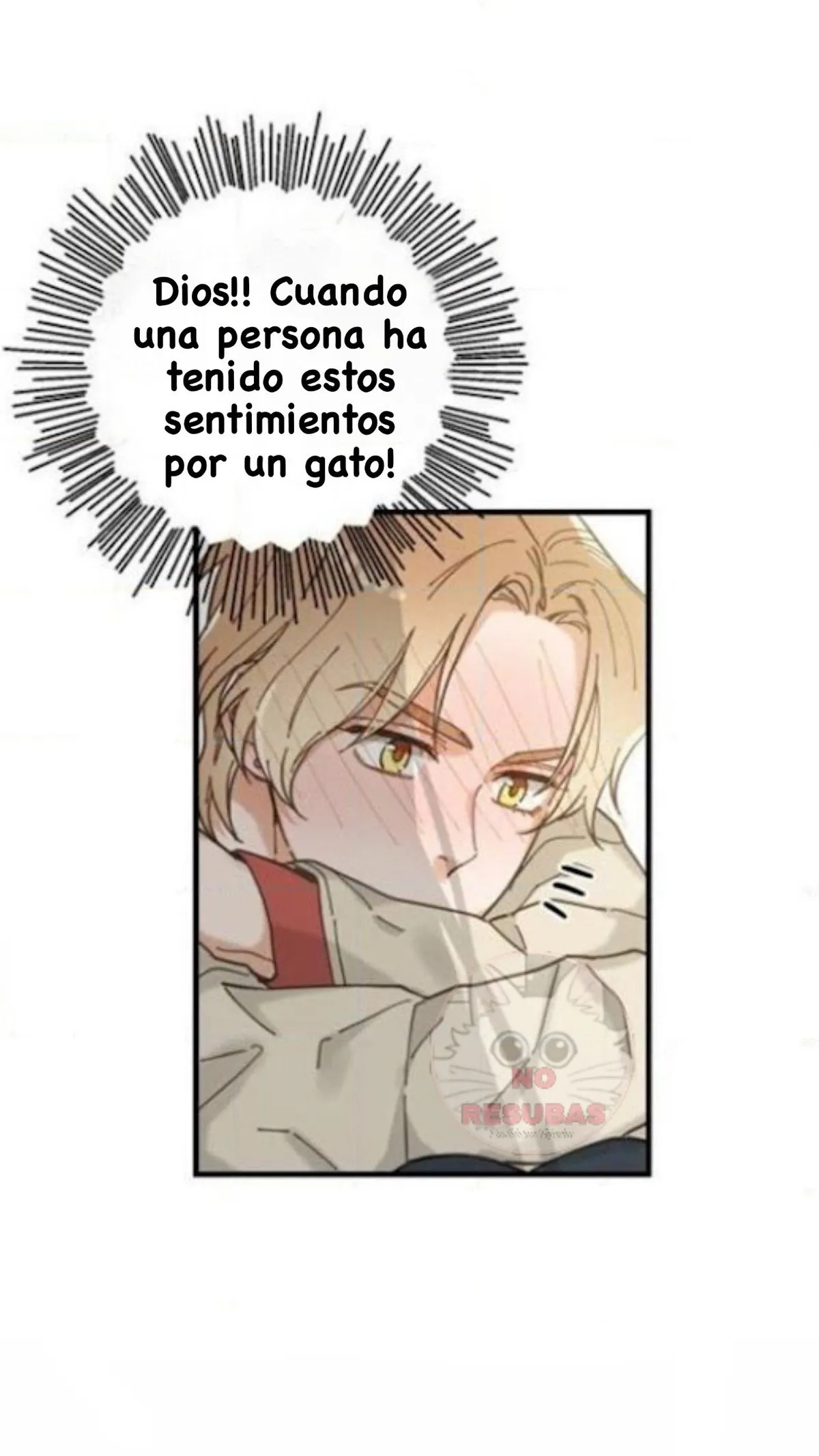 Mi único gato Capítulo 8 en Línea - página 33