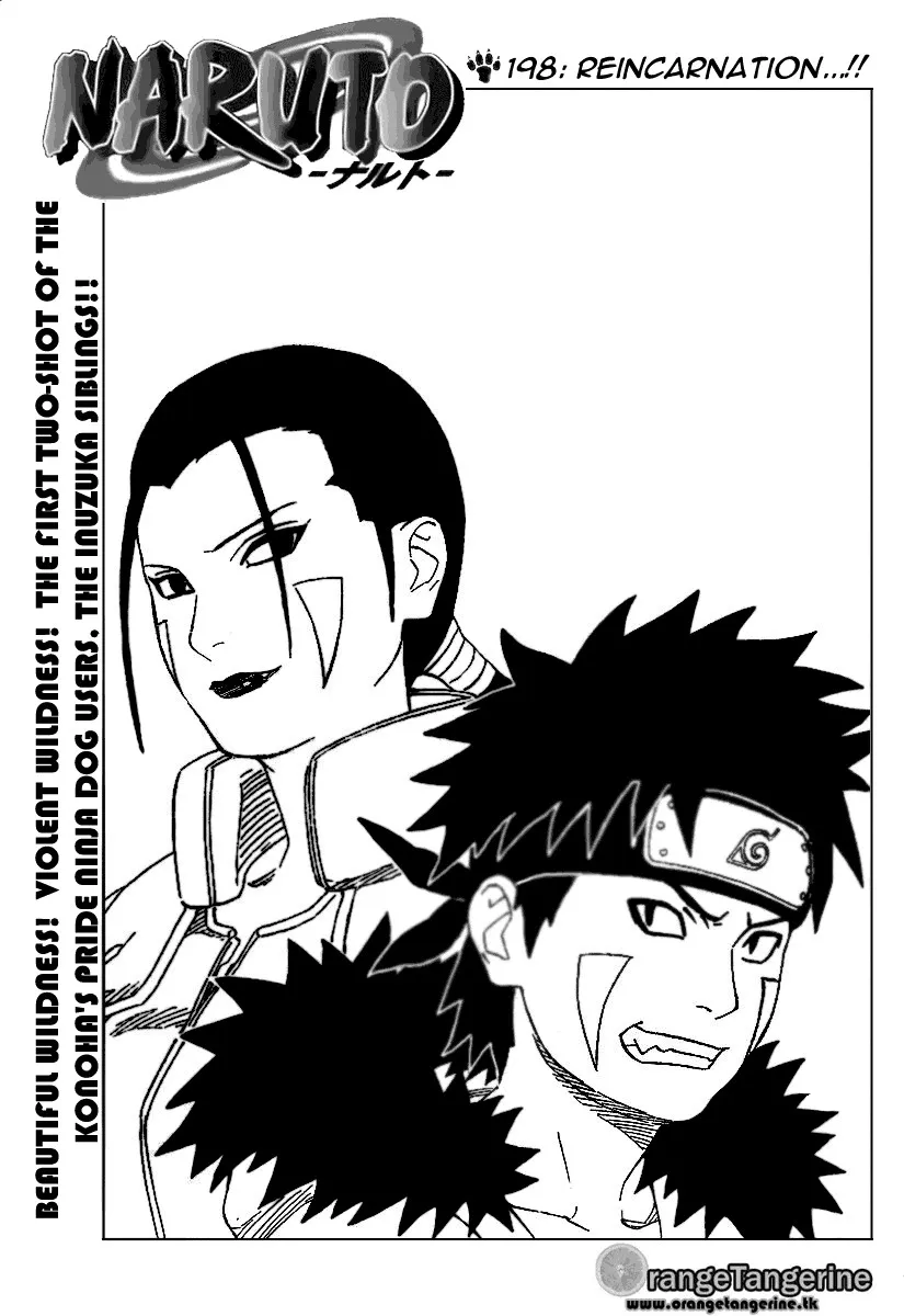 Naruto Capítulo 198 en Línea - página 1