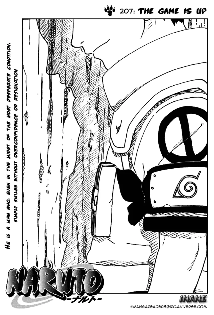 Naruto Capítulo 207 en Línea - página 1