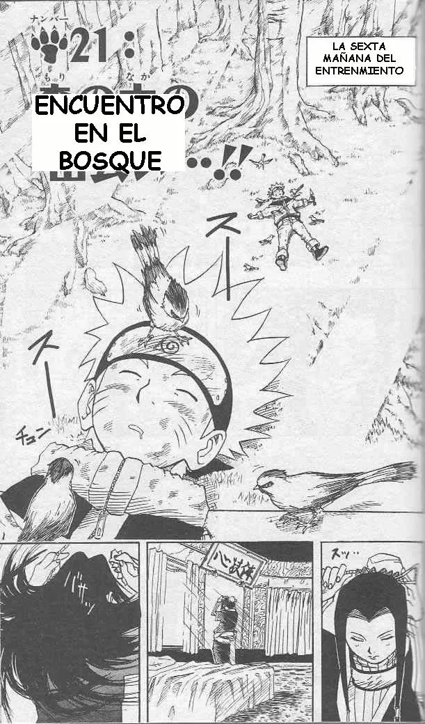 Naruto Capítulo 21 en Línea - página 1