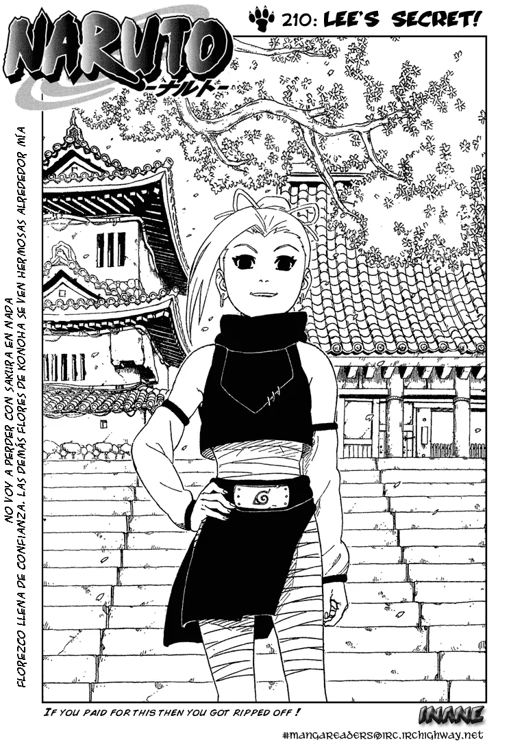 Naruto Capítulo 210 en Línea - página 1