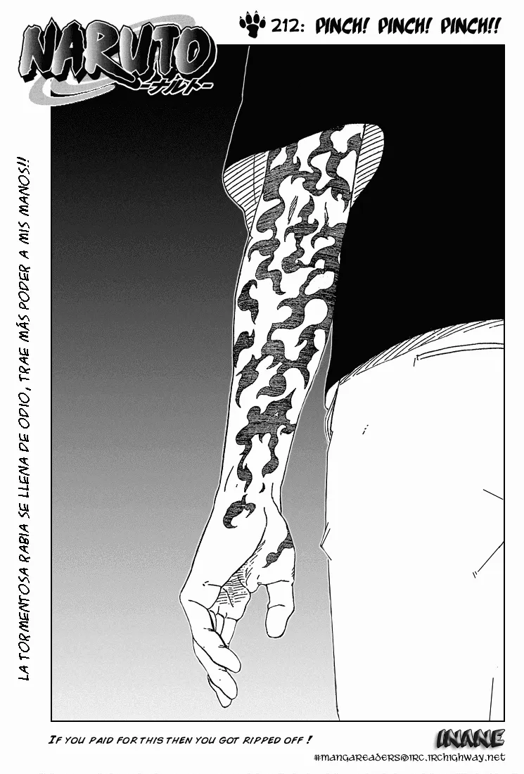 Naruto Capítulo 212 en Línea - página 1