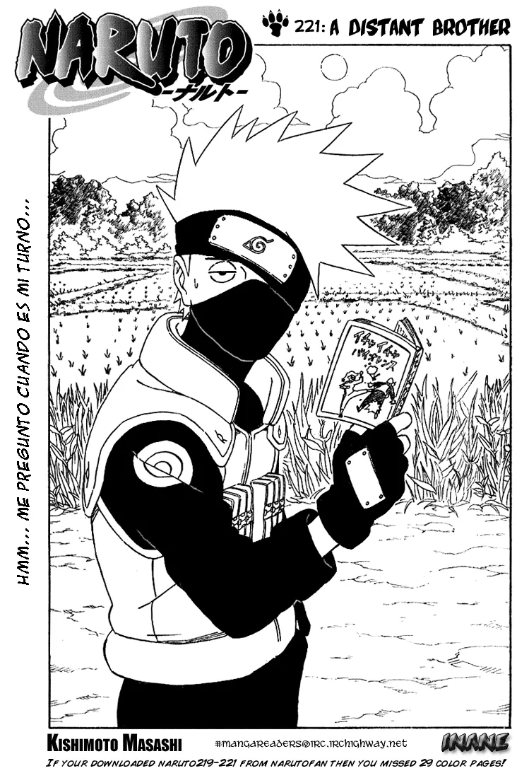 Naruto Capítulo 221 en Línea - página 1