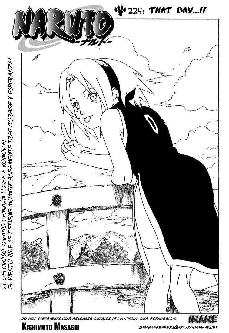 Naruto Capítulo 224 en Línea - página 1