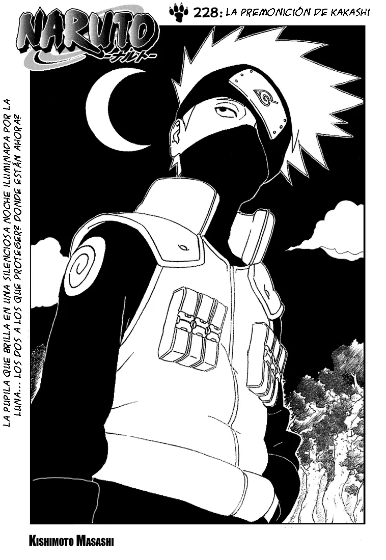 Naruto Capítulo 228 en Línea - página 1