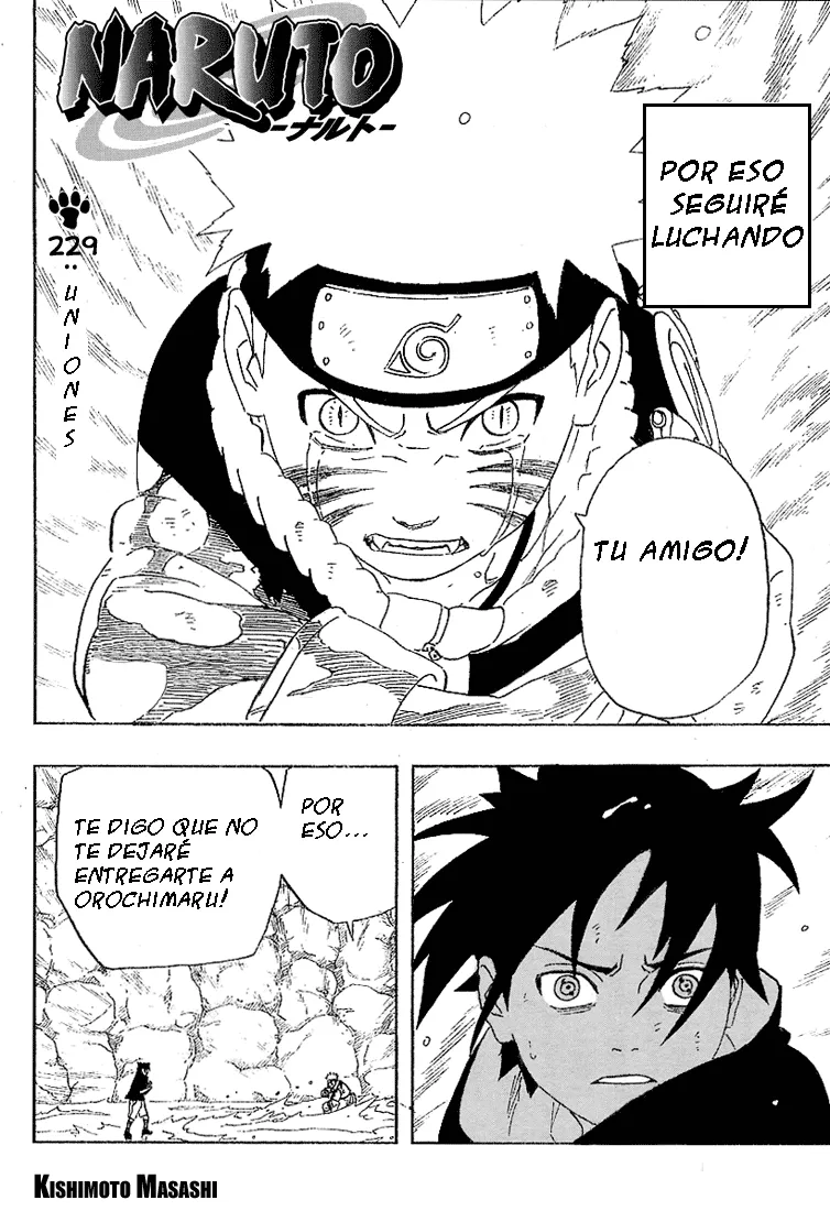 Naruto Capítulo 229 en Línea - página 1