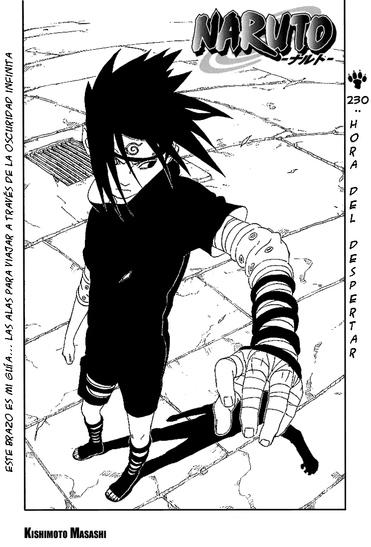 Naruto Capítulo 230 en Línea - página 1