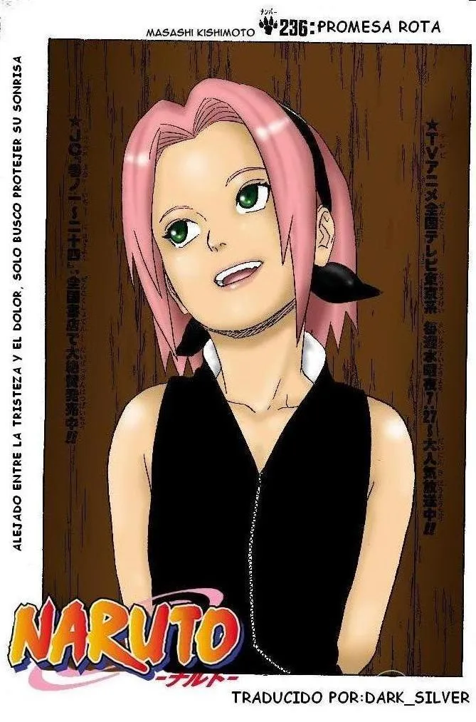 Naruto Capítulo 236 en Línea - página 1