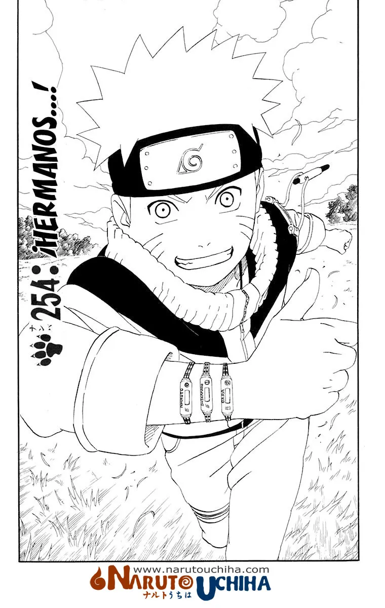 Naruto Capítulo 254 en Línea - página 1