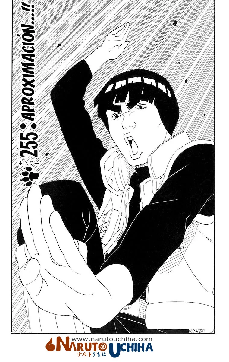 Naruto Capítulo 255 en Línea - página 1