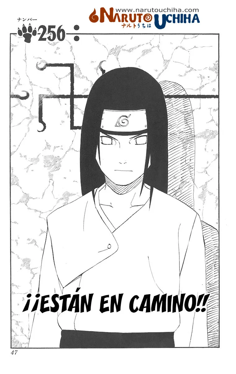 Naruto Capítulo 256 en Línea - página 1