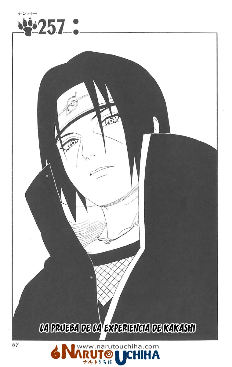 Naruto Capítulo 257 en Línea - página 1