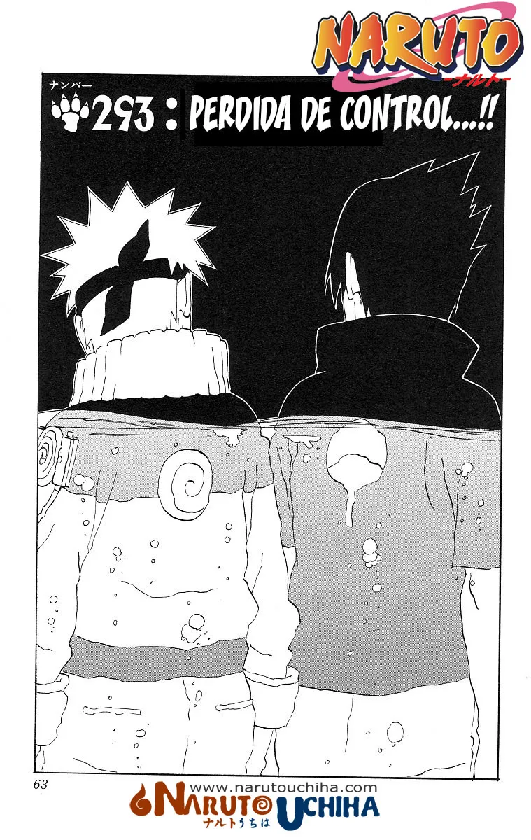 Naruto Capítulo 293 en Línea - página 1