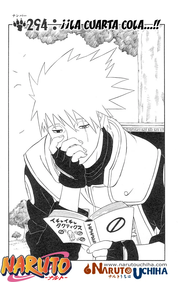 Naruto Capítulo 294 en Línea - página 1