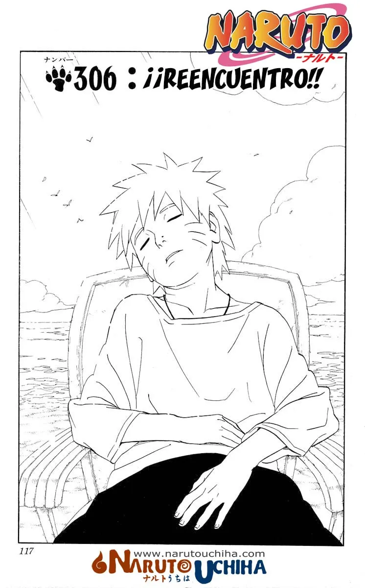 Naruto Capítulo 306 en Línea - página 1