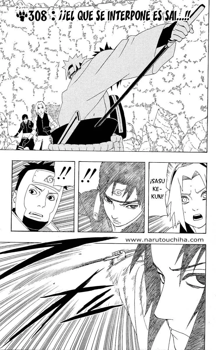 Naruto Capítulo 308 en Línea - página 1