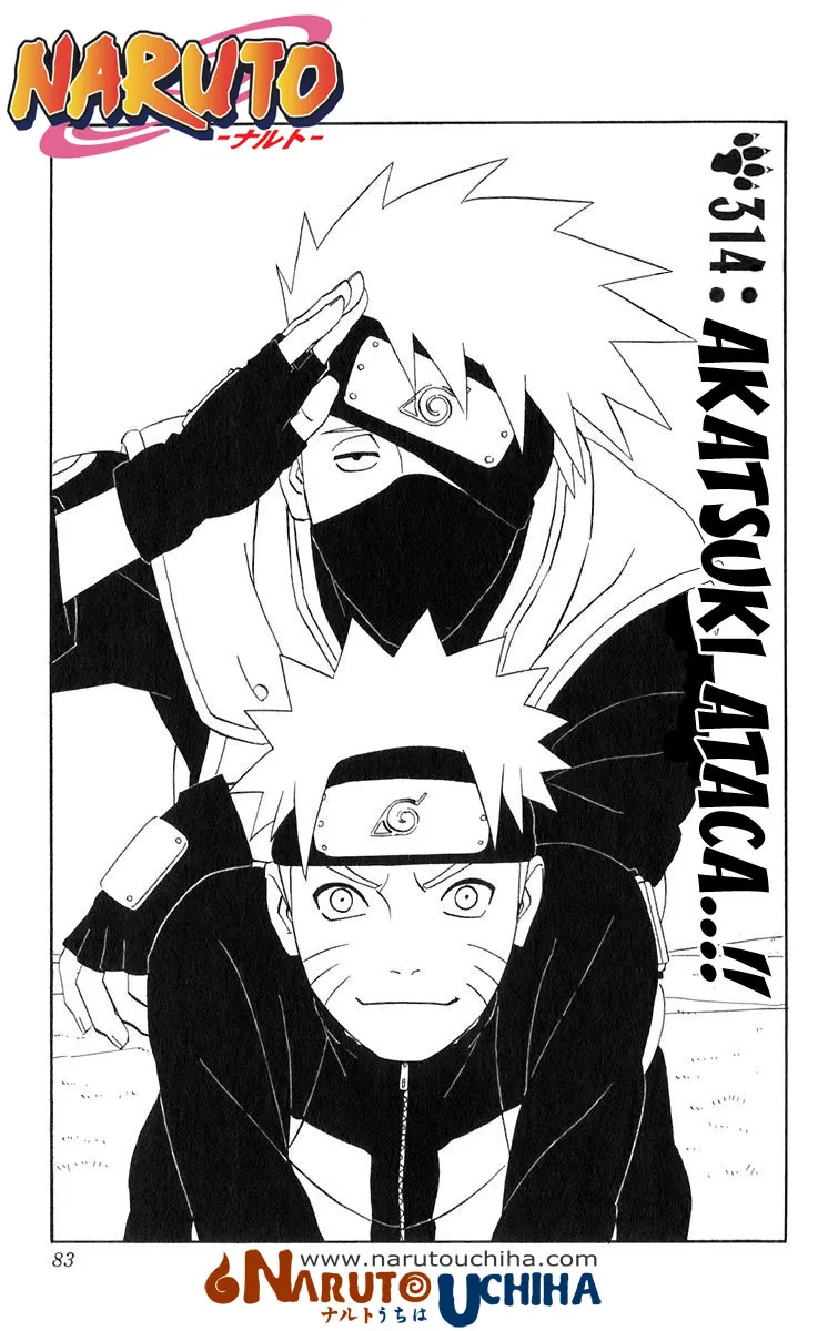 Naruto Capítulo 314 en Línea - página 1