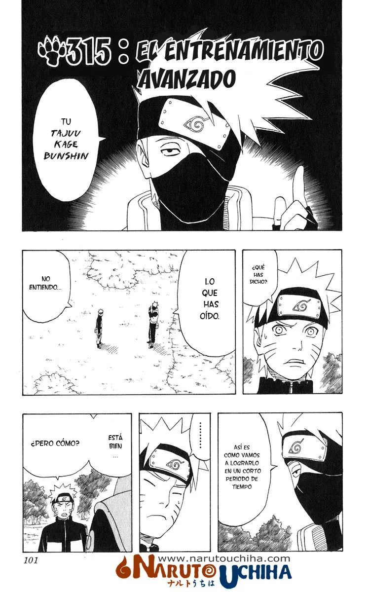 Naruto Capítulo 315 en Línea - página 1