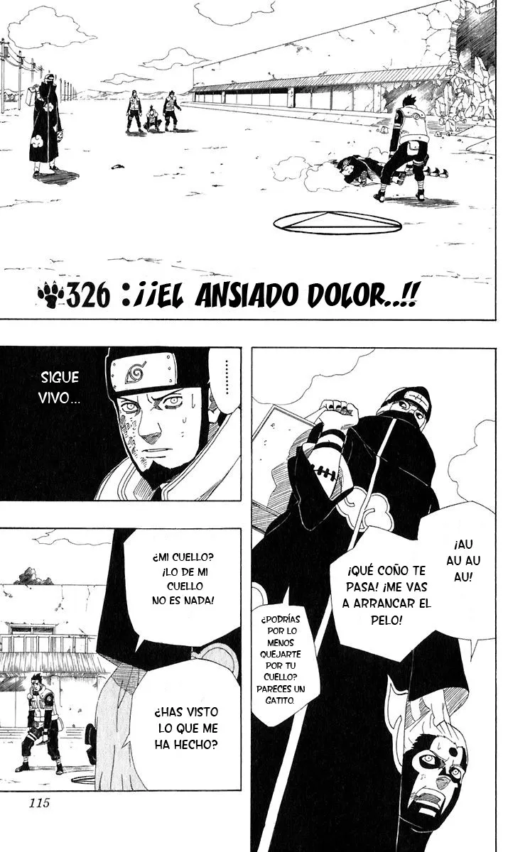 Naruto Capítulo 326 en Línea - página 1